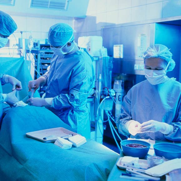 למה אי אפשר לקבל מח עצם מכל אחד?