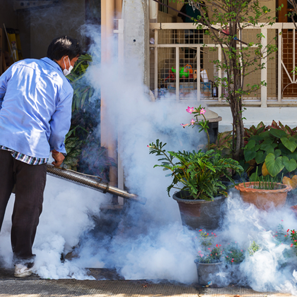 DDT: מאוהב לאויב