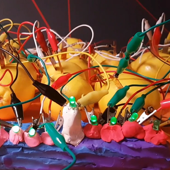 שמונה ימים – שמונה חנוכיות מדעיות