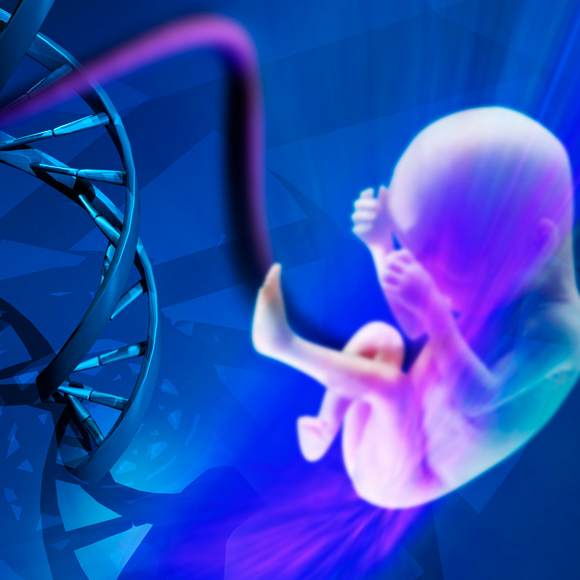 הנדסה גנטית בבני אדם: התגובות שאחרי הסערה