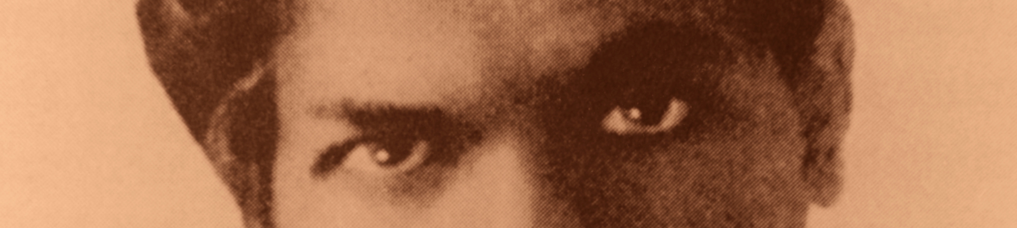 נער החידות מאירודו