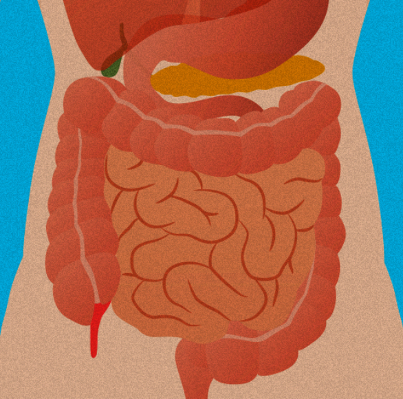 האם מחלת פרקינסון מתחילה בתוספתן?