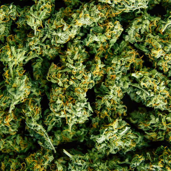 מחקר: קנביס עלול לפגוע בזיכרון