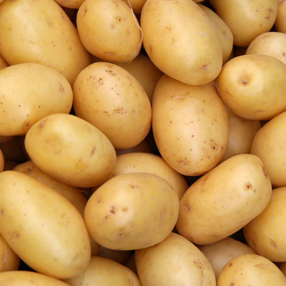 תפוח אדמה: לא בכל מצב