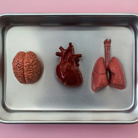 השתלה לעולם חוזרת