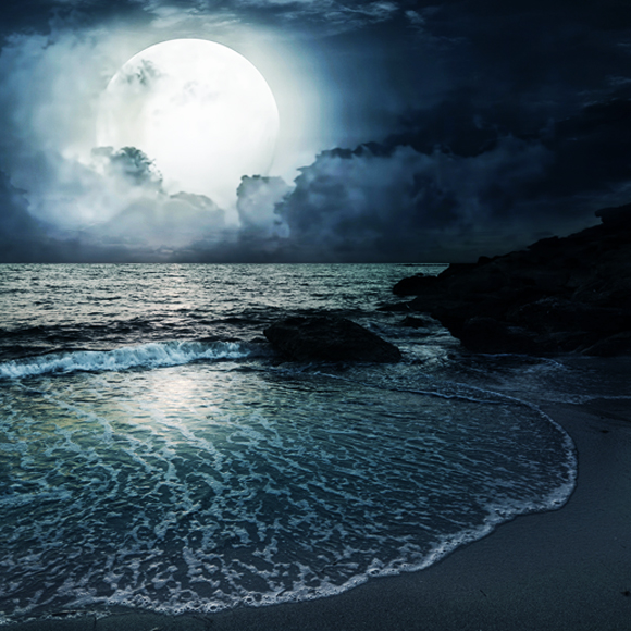 משחקי כוח: כיצד מתחוללים הגאות והשפל?