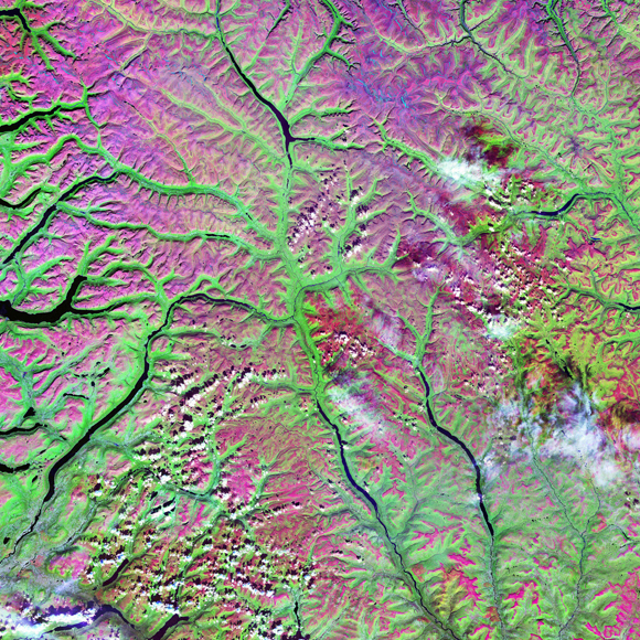 ההכחדה הגדולה ביותר