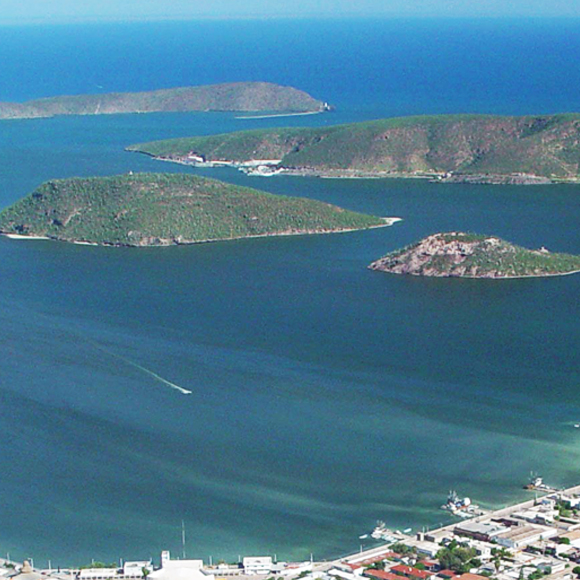 הנשק הסודי נגד גזי החממה