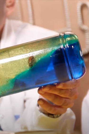 ים בתוך בקבוק