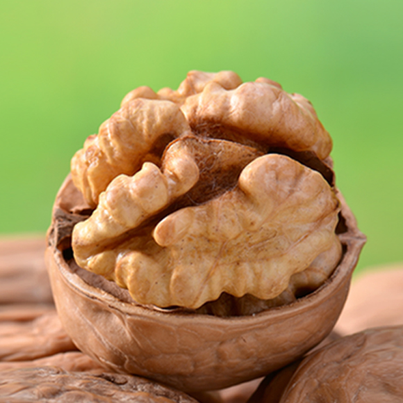 שטיפת מוח – מהדורת ט”ו בשבט