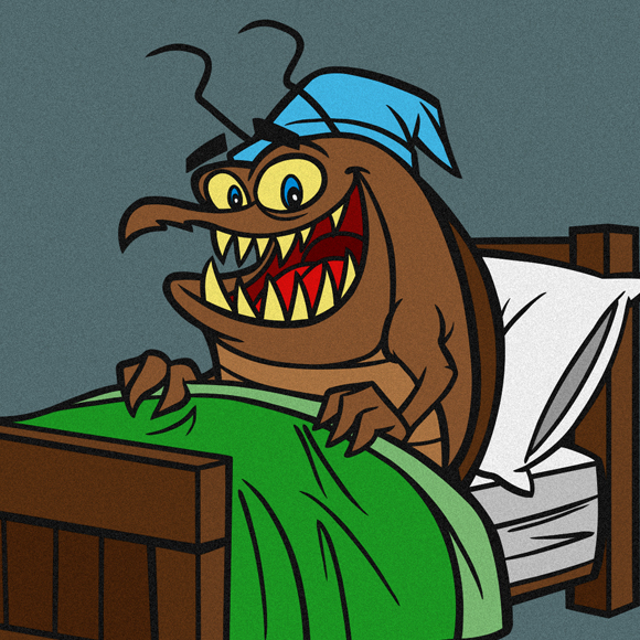 המדריך להימנעות מפשפשים