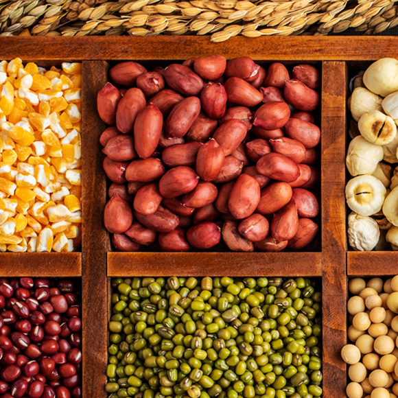 הדרישה: שינוי כולל בתזונה העולמית