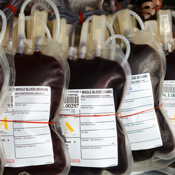 הכול בגלל הדם?