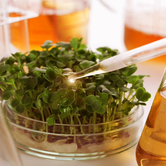 מזון מהונדס ואשליית הידע