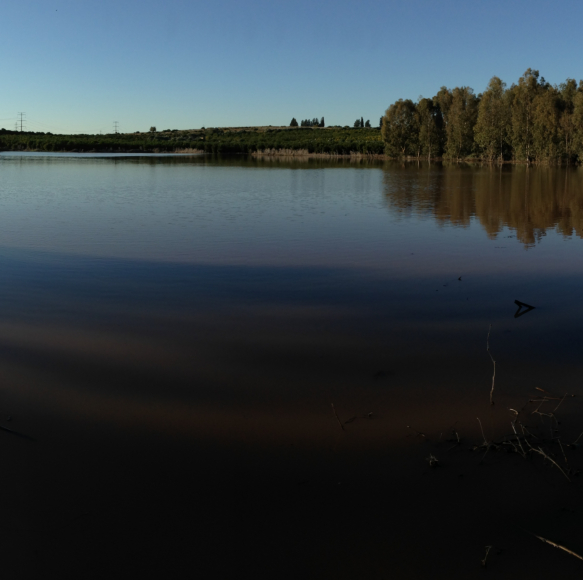 לידתן של בריכות החורף