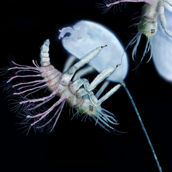 לצאת מהביצה, בעידן הדינוזאורים