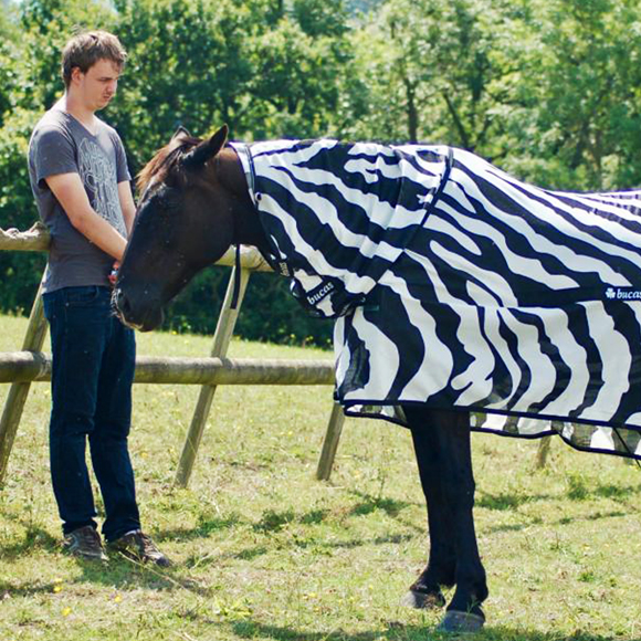 הזבובים שירדו מהפסים