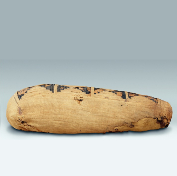 תיק 3000: מומיות נגד אבולוציה