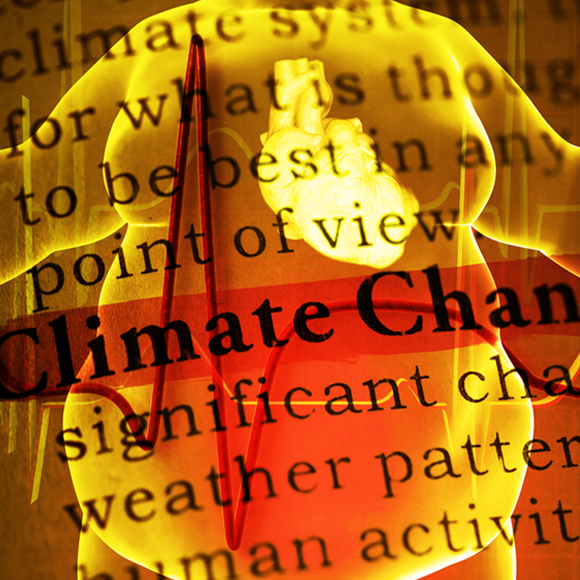 מה הקשר בין השמנה להתחממות גלובלית?