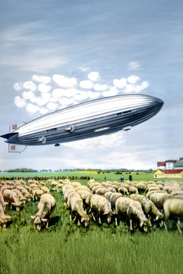 מגדלים פורחים באוויר