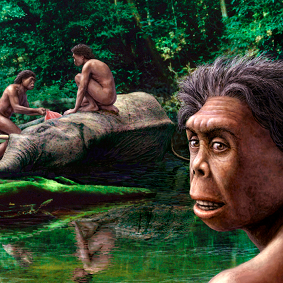 מה החולדות מספרות על ההוביטים?