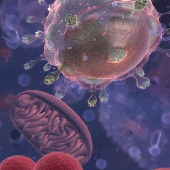 ה-HIV נעלם בזכות טיפול בסרטן