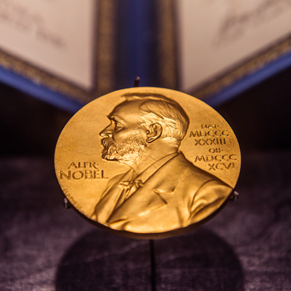 הדרך מעבודת הגמר לחו”ל