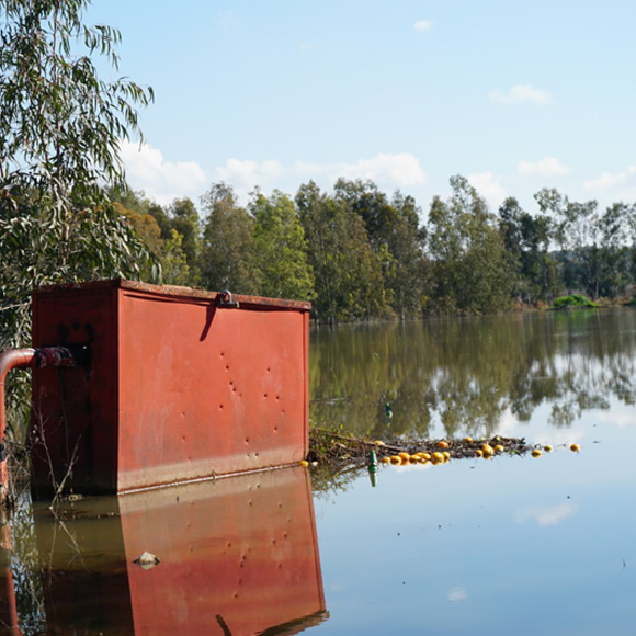 מדריך לחוקר הטבע המתחיל