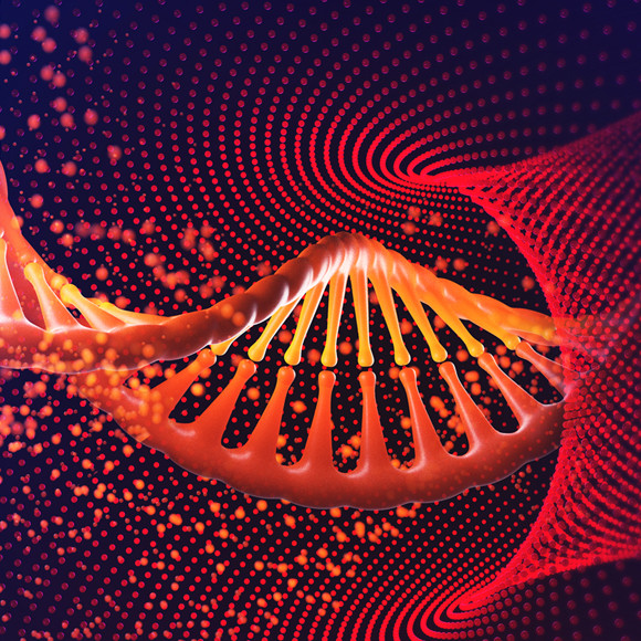 מולקולות DNA עם שמונה אותיות