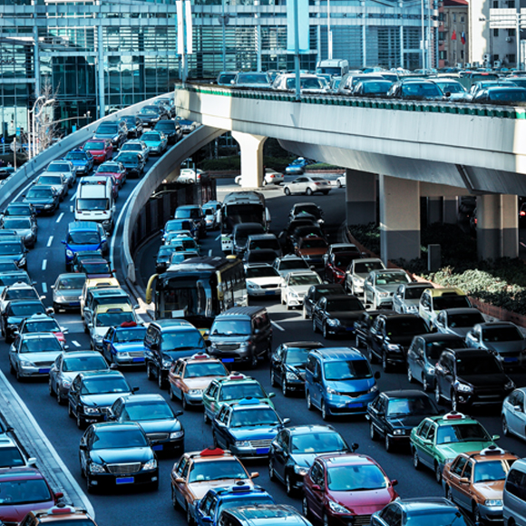 חרקים נגד פקקים