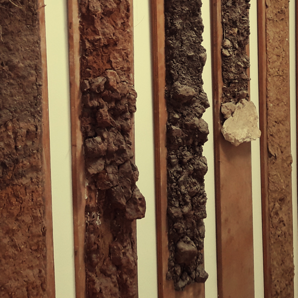 החוקר המבטיח שלא שב מהקרב