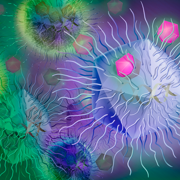 גם נגיפים חולים… בנגיפים