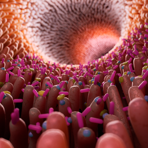 החיידקים שיאבחנו סרטן