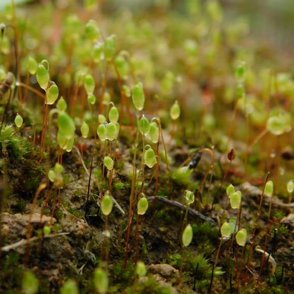 הצמיגים חותכים עמוק