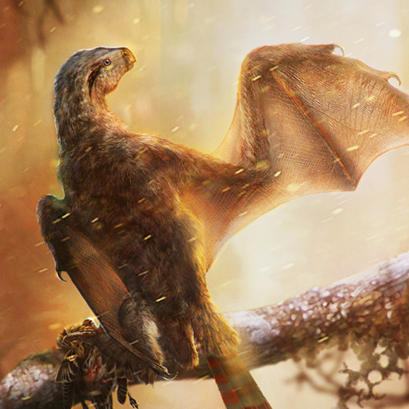 הדינוזאור בעל כנפי העטלף