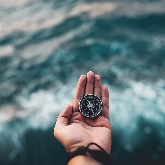 לנווט עם חיידקים