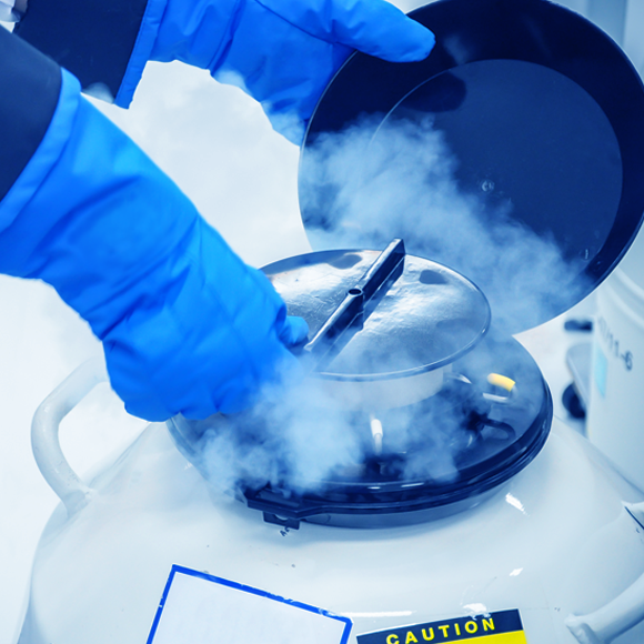 היסוד שלא זוכה להערכה הראויה לו