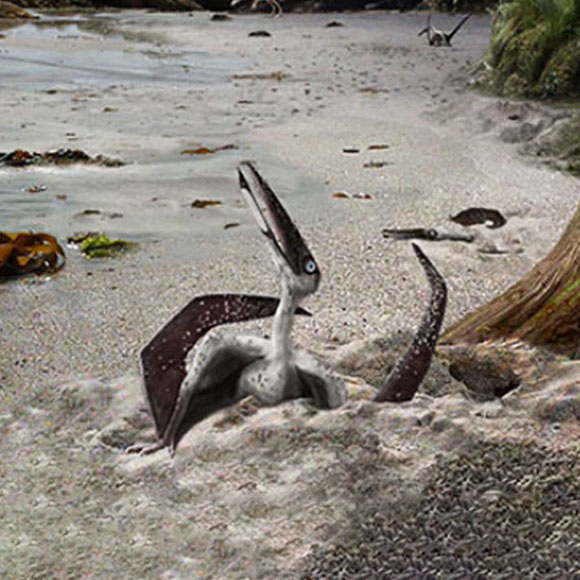 הפטרוזאורים שנולדו לעוף