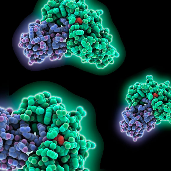 החומרים שיוכלו למנוע מחלות