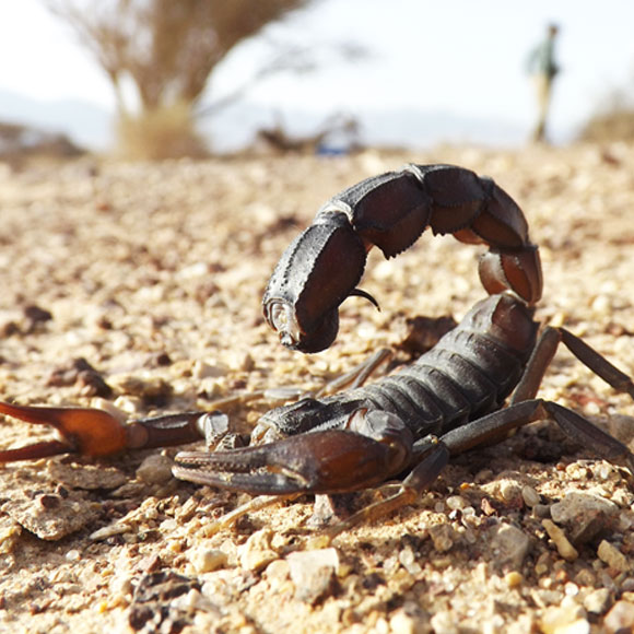 וייקרא שמם בישראל
