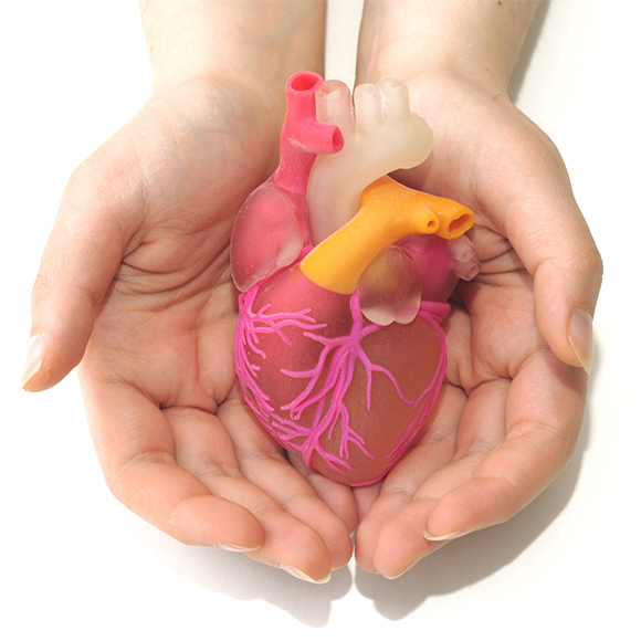 מהנשמדע: מה חדש השבוע במדע?