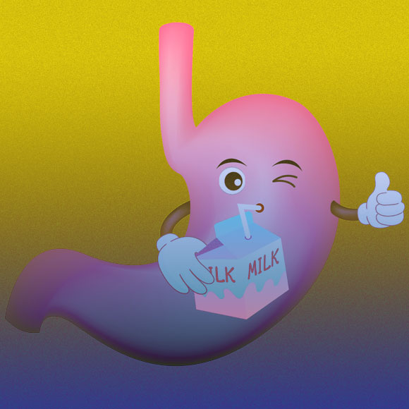 החיידקים שעוזרים לעכל חלב