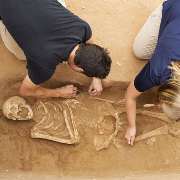 הצופן הגנטי של הפלשתים