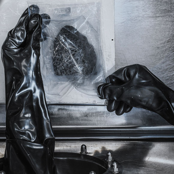 השלל של אפולו