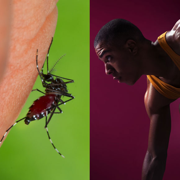 מהנשמדע: מה היה חדש השבוע במדע?