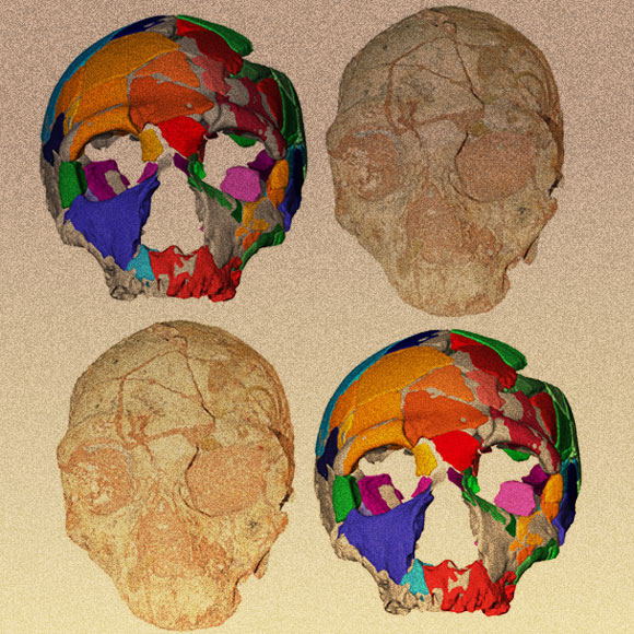 האדם הראשון מחוץ לאפריקה?