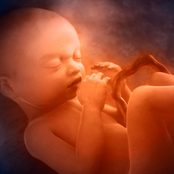 עובר לא סטרילי