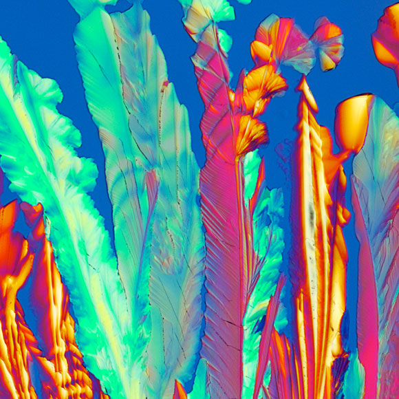 מוח של אמא, מוח של אבא