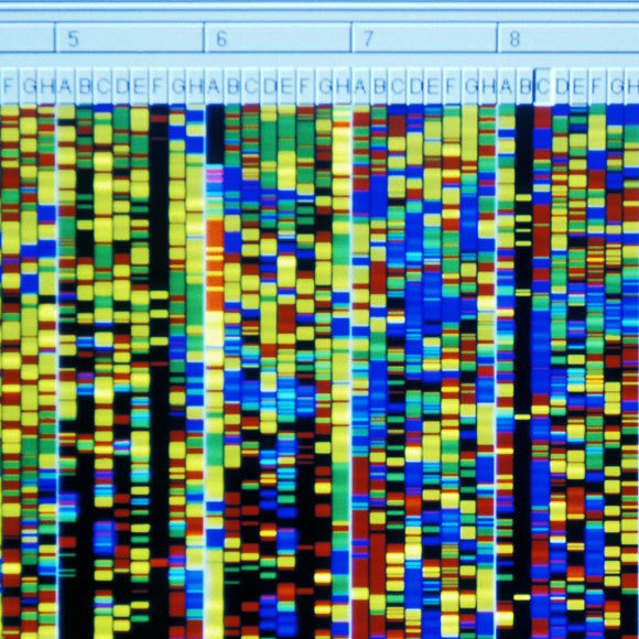 רק לעשירים: טיפול גֵני מציל חיים למחלת ניוון שרירים