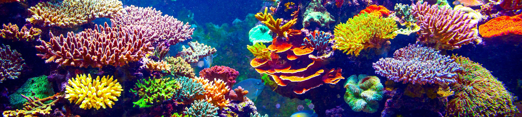 מהנשמדע: מה היה חדש השבוע במדע?